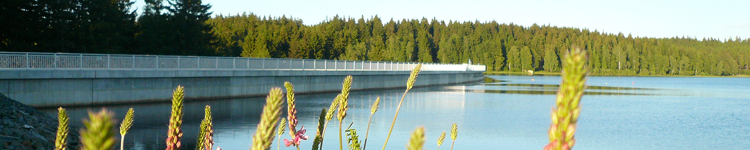 Staumauer Talsperre Muldenberg